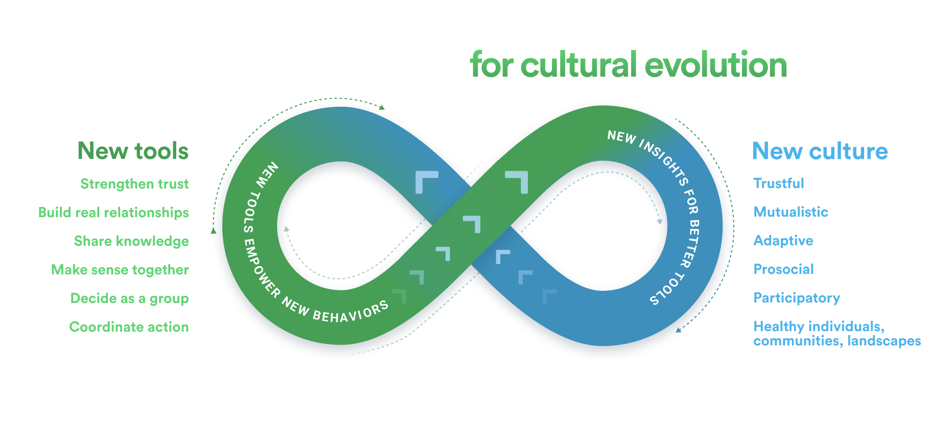 Culture and tools evolve together.
